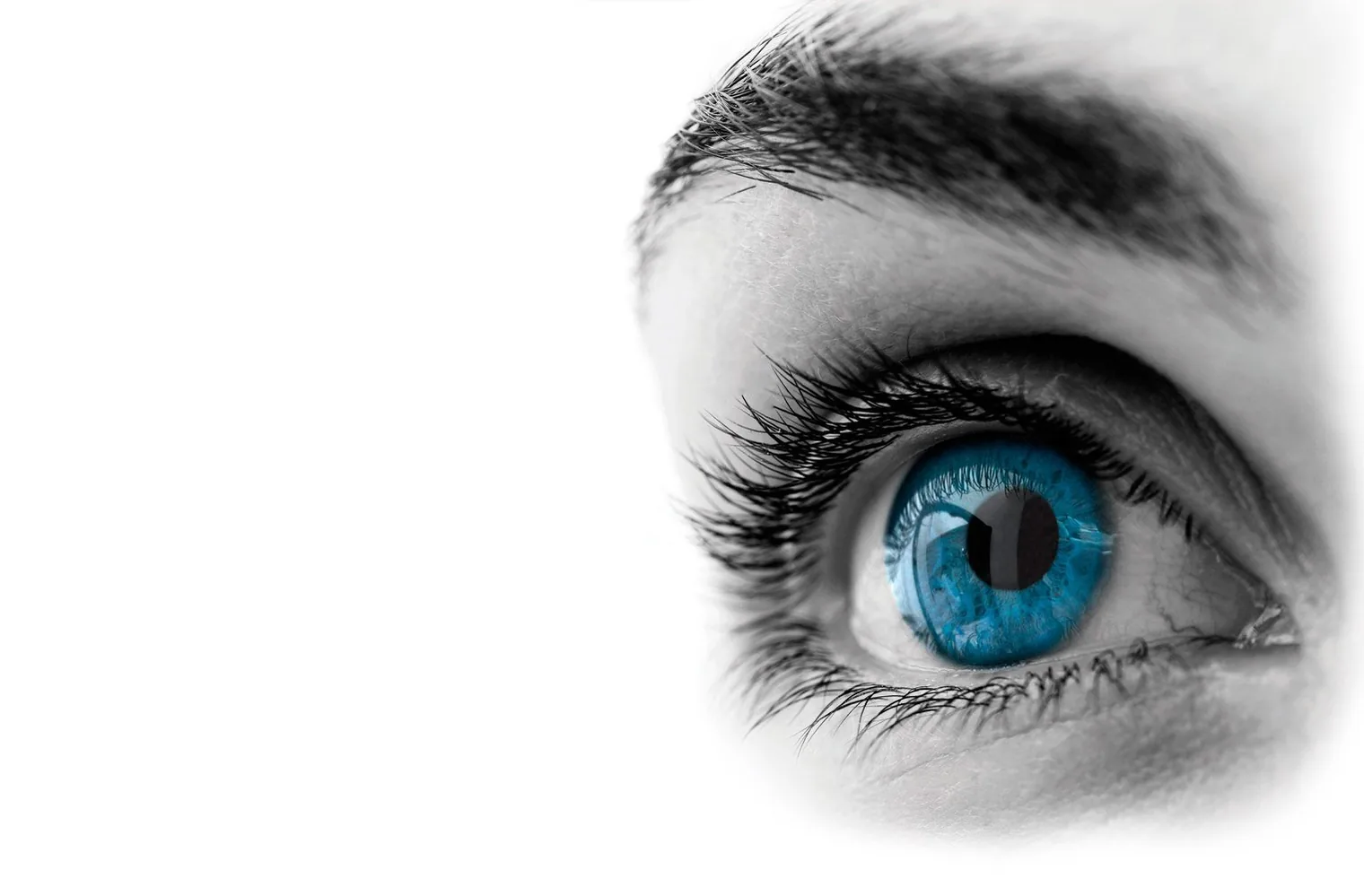 Close-up de um olho humano em preto e branco, com a íris azul em destaque